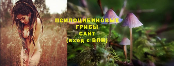 сатива Волоколамск