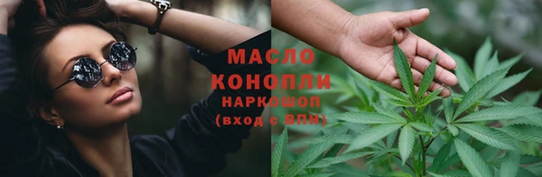 сатива Волоколамск