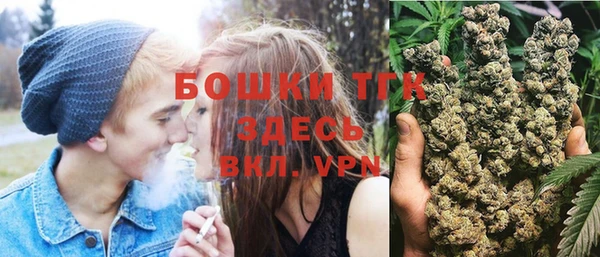 сатива Волоколамск