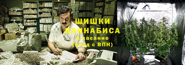 сатива Волоколамск