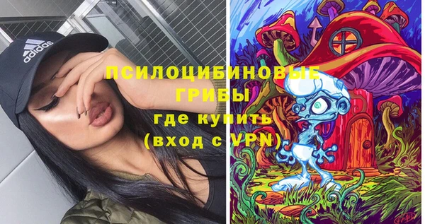 сатива Волоколамск