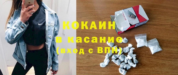 сатива Волоколамск