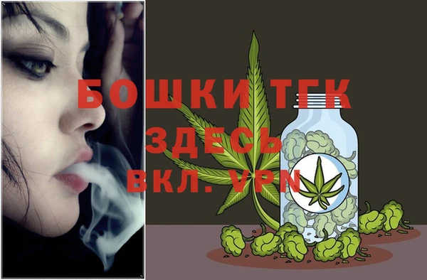 сатива Волоколамск