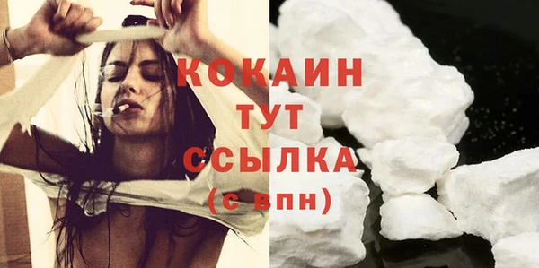 сатива Волоколамск