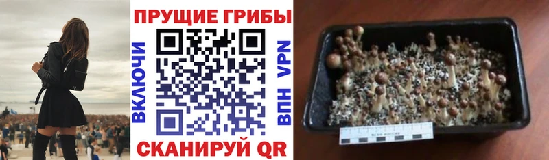 Купить закладки  Оленегорск  Галлюциногенные грибы мухоморы 