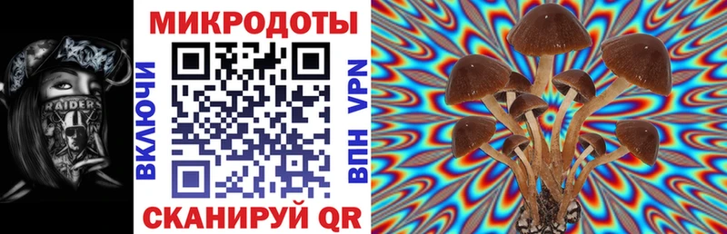 Галлюциногенные грибы прущие грибы Оленегорск